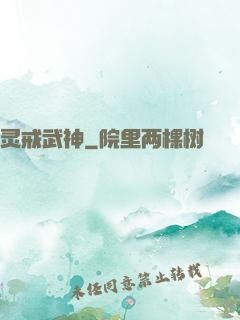 灵戒武神
