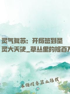 灵气复苏：开局签到圣灵大天使