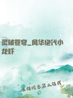 灵破苍穹