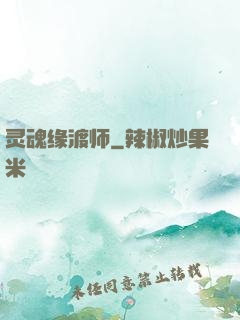 灵魂缘渡师