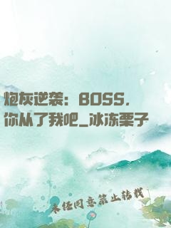 炮灰逆袭：BOSS，你从了我吧