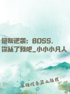 炮灰逆袭：BOSS，你从了我吧