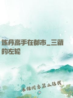 炼丹高手在都市