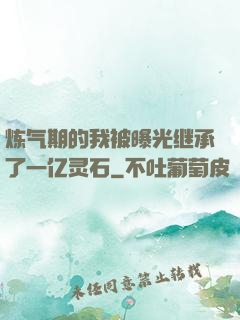 炼气期的我被曝光继承了一亿灵石