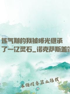 炼气期的我被曝光继承了一亿灵石