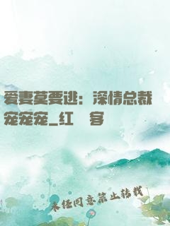 爱妻莫要逃：深情总裁宠宠宠