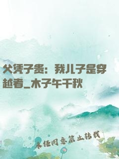 父凭子贵：我儿子是穿越者