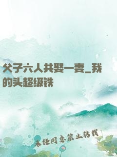父子六人共娶一妻
