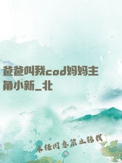 爸爸叫我cod妈妈主角小新