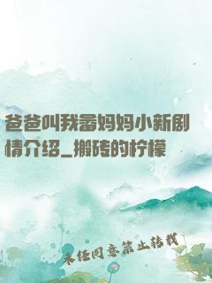 爸爸叫我畲妈妈小新剧情介绍