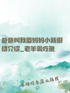 爸爸叫我畲妈妈小新剧情介绍