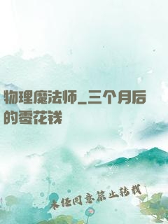 物理魔法师