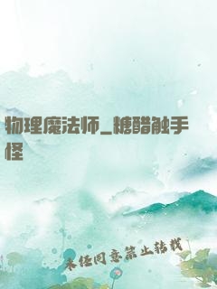 物理魔法师