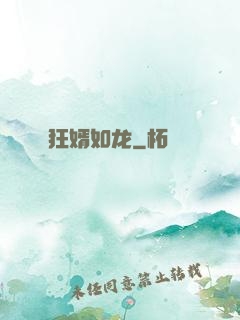 狂婿如龙