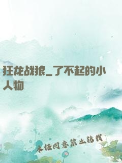 狂龙战狼