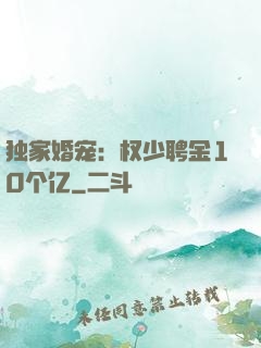 独家婚宠：权少聘金10个亿
