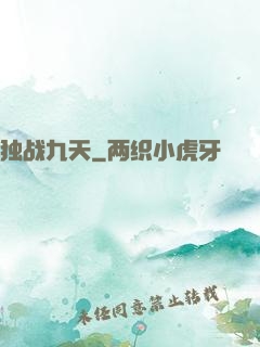 独战九天