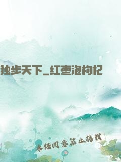 独步天下