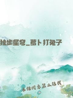 独步星穹