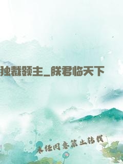 独裁领主