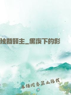 独裁领主