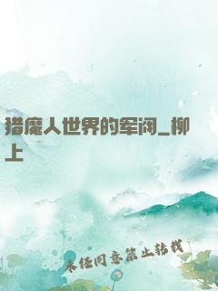 猎魔人世界的军阀