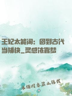 王妃太能闹：回到古代当捕快