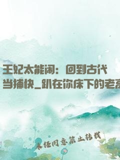 王妃太能闹：回到古代当捕快