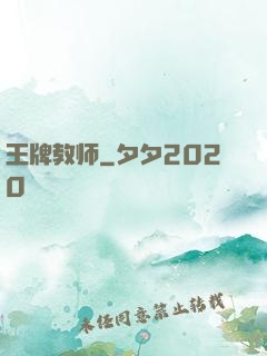 王牌教师