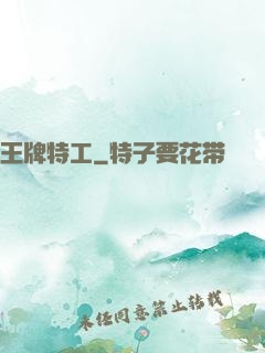 王牌特工