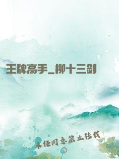 王牌高手