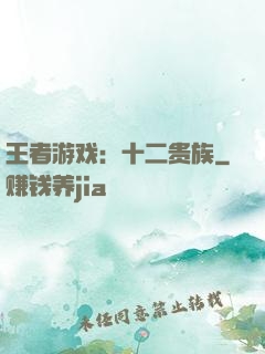 王者游戏：十二贵族
