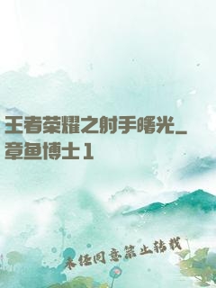 王者荣耀之射手曙光