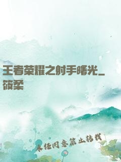 王者荣耀之射手曙光