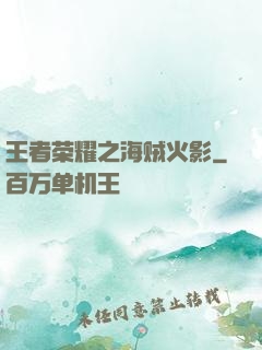 王者荣耀之海贼火影