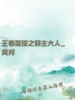 王者荣耀之领主大人