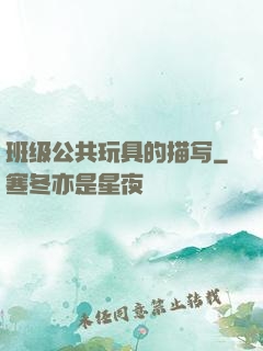 班级公共玩具的描写