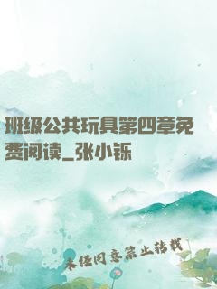 班级公共玩具第四章免费阅读