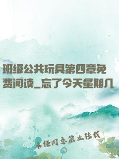 班级公共玩具第四章免费阅读