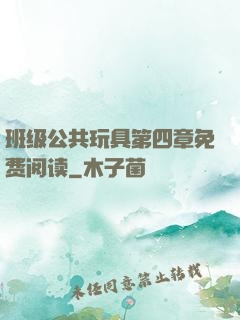 班级公共玩具第四章免费阅读