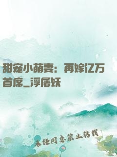 甜宠小萌妻：再嫁亿万首席
