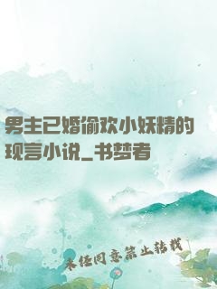 男主已婚偷欢小妖精的现言小说