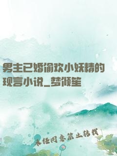 男主已婚偷欢小妖精的现言小说