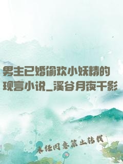 男主已婚偷欢小妖精的现言小说