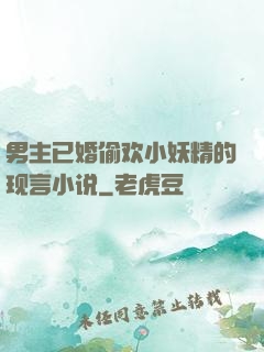 男主已婚偷欢小妖精的现言小说