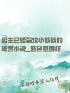 男主已婚偷欢小妖精的现言小说