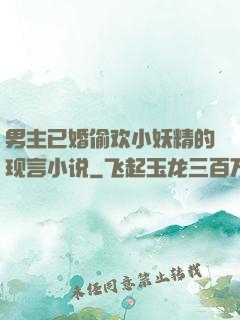 男主已婚偷欢小妖精的现言小说