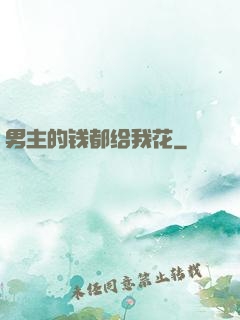 男主的钱都给我花