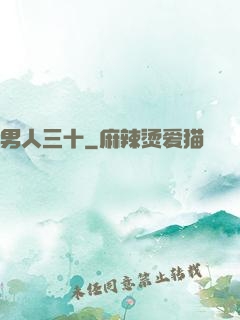 男人三十