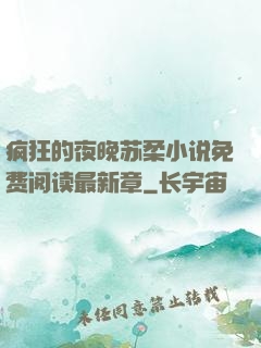 疯狂的夜晚苏柔小说免费阅读最新章